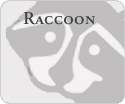 Raccoon