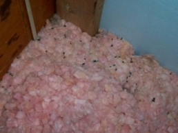 Mouse droppings in the attic