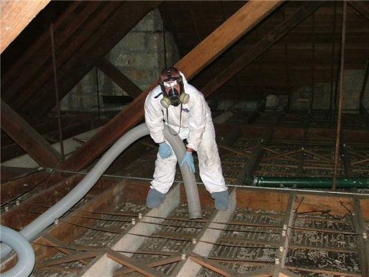 Attic Restoration Work